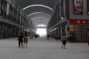 小池 國際 農產品物流港打造 新九黃干調副食大市場