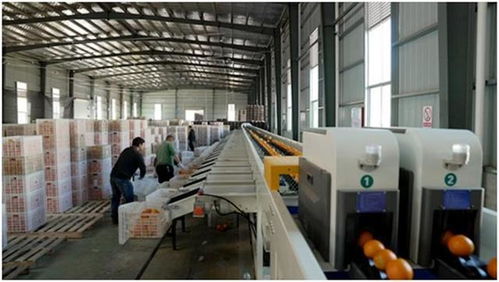 中國(guó)減貧四十年 研究報(bào)告 中國(guó)超5 就業(yè)崗位來自電商