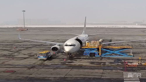 新疆國際貨運(yùn)包機(jī)業(yè)務(wù)全面恢復(fù)，為國際物流注入新動(dòng)能